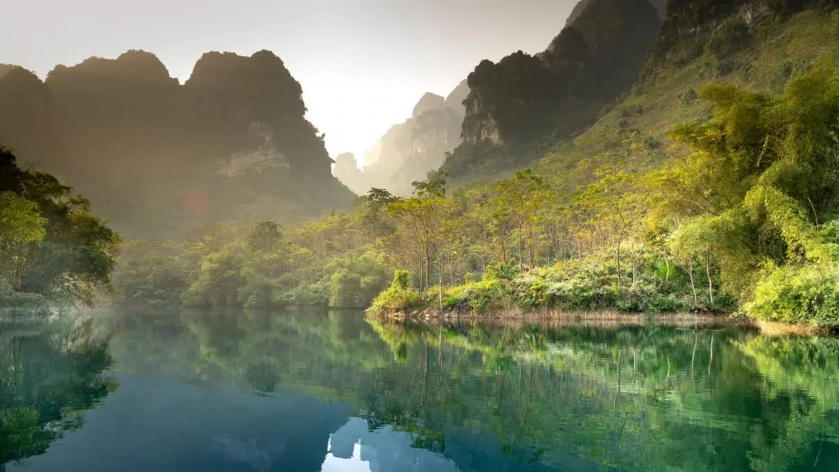网络化高效无人化
